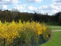 2010-04-01 17-04-19 Parc de la Courneuve CGn